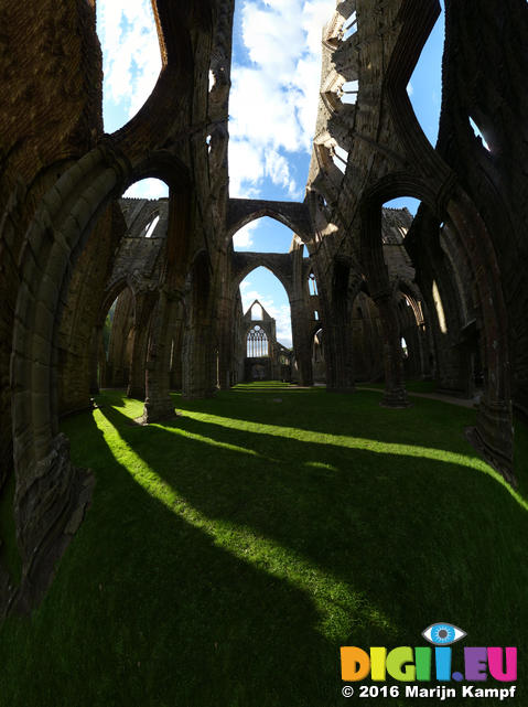 FZ033687-733 Sunlight falling in Tintern Abbey